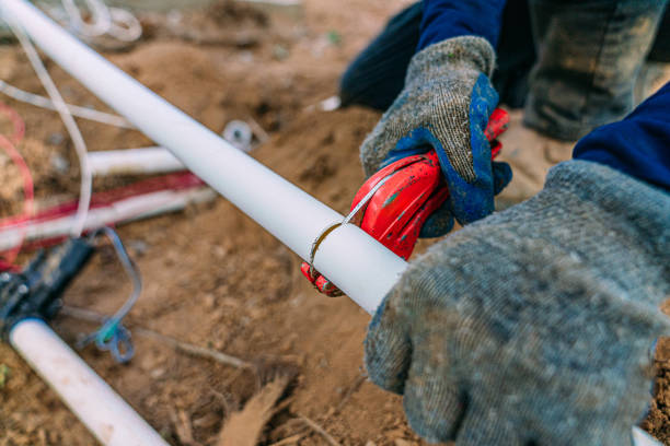 Best Commercial Plumbing Services  in Dwight, IL